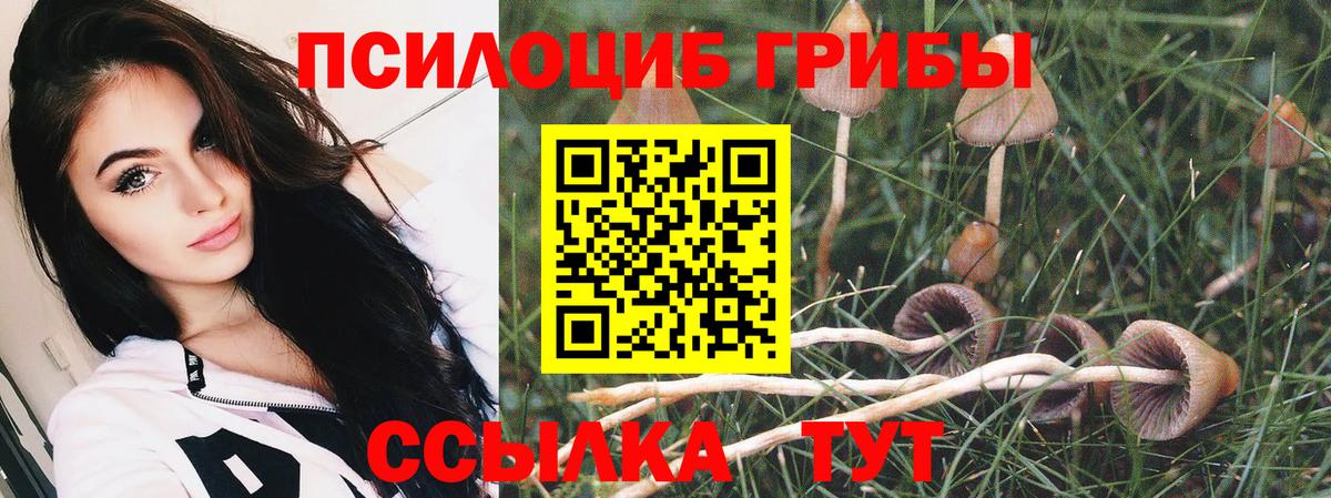 Нижневартовск  Галлюциногенные грибы GOLDEN TEACHER  Вход с VPN 